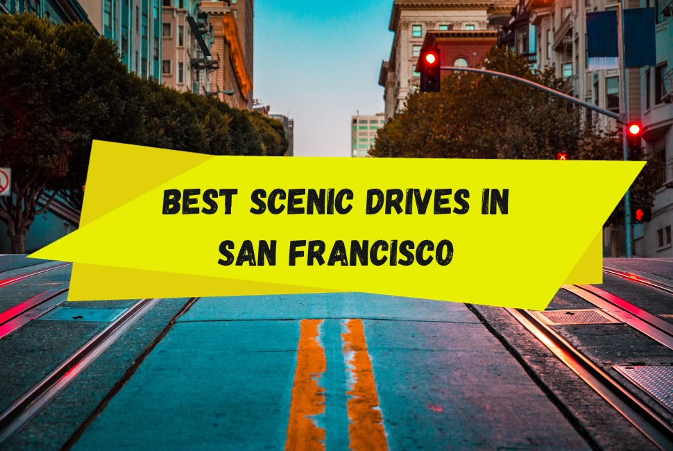 Top 7 Scenic Drives In San Francisco